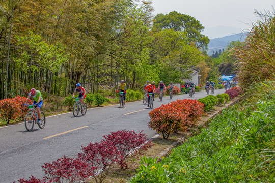 塔川村村外公路