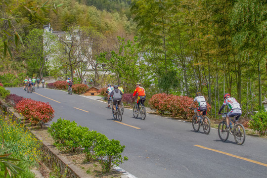 塔川村村外公路