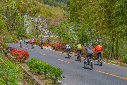 塔川村村外公路