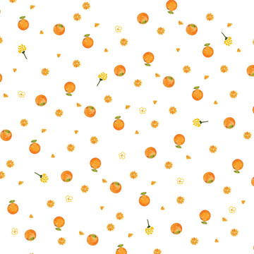 水彩橙子