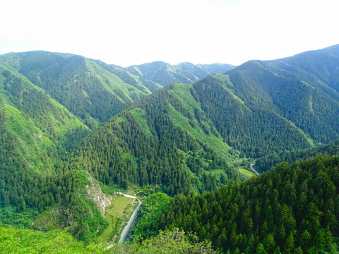 山顶风景