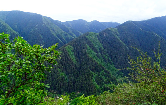 山顶风景