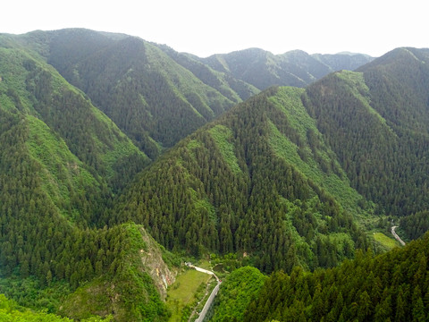 山顶山峰