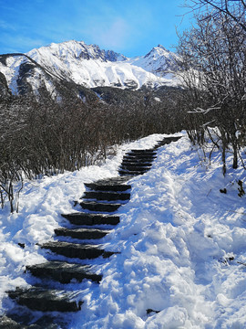 雪山小路