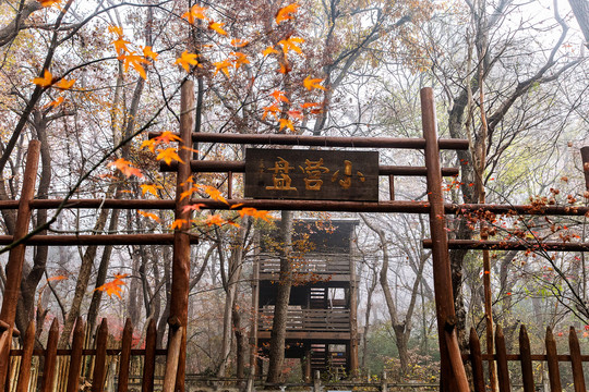 南京栖霞山小营盘景区秋色