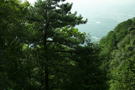 庐山风景