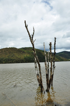 普达措湖