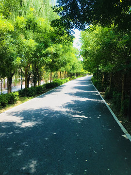 公园小路