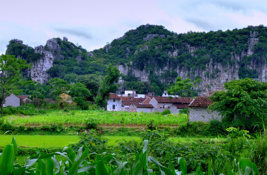 山村山野