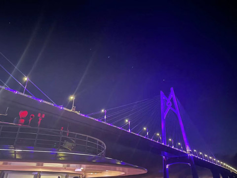 港珠澳大桥一侧夜景