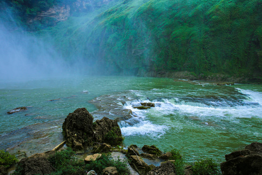 黄果树