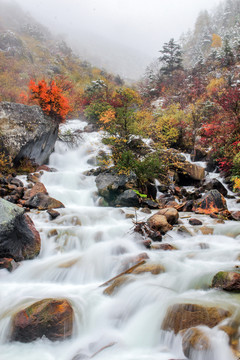 秋色流水瀑布