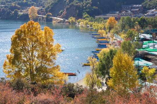 泸沽湖里格半岛秋色