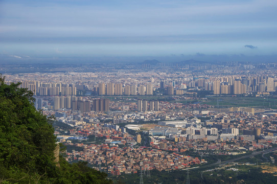 晋江市区全景