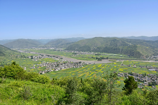 蓝天绿树新农村