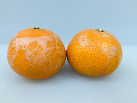 花皮的橘子