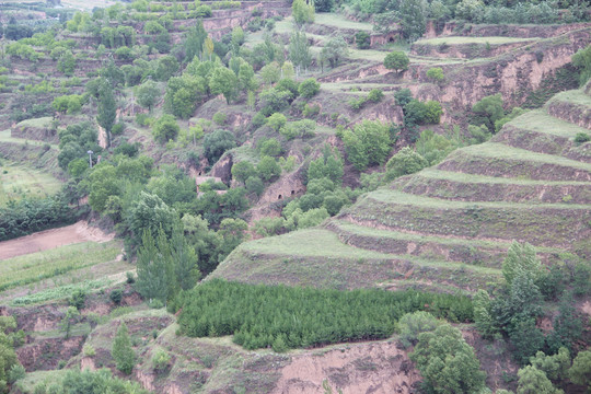 田园风光入画来