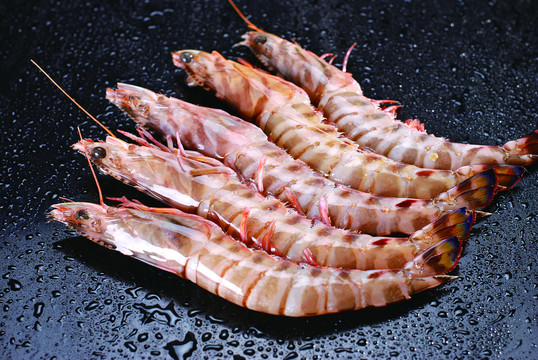 野生明虾