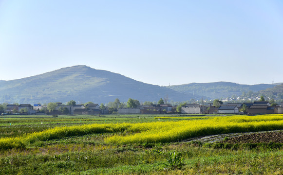 乡村风光