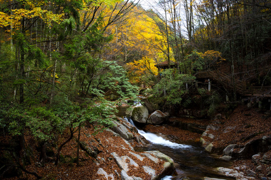 光雾山风景区