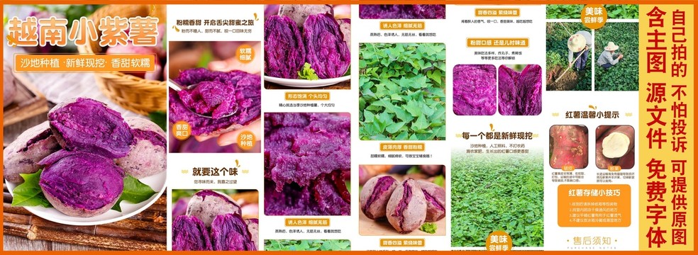 越南小紫薯详情页