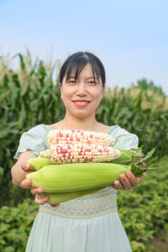 农民手上抱着甜糯玉米