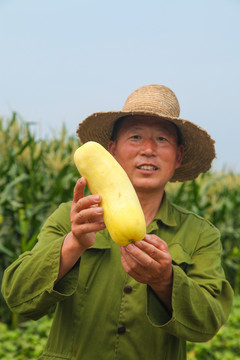 农民手上抱着甜糯玉米