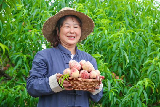 农民手上提着一筐胭脂红