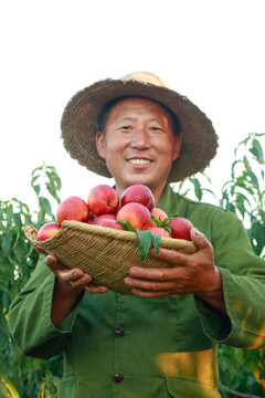 农民手上抱着一筐黄心油桃