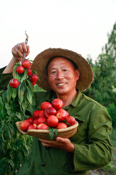 农民手上拿着红油桃