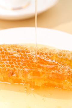 盘子里放着蜂巢蜜