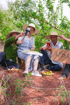 农民正在蜂糖李果园自拍