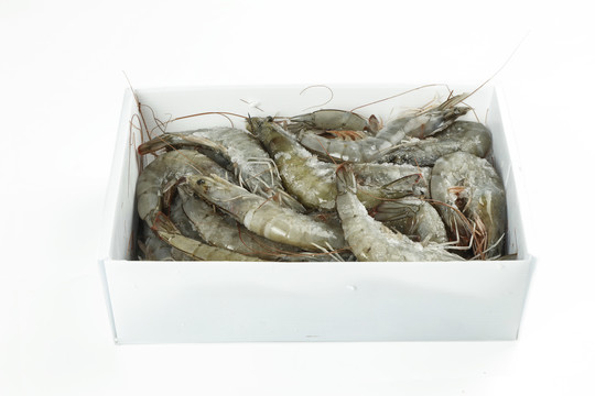 箱子里装着一堆对虾