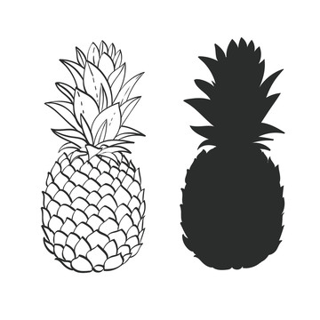 黑白菠萝剪影插图