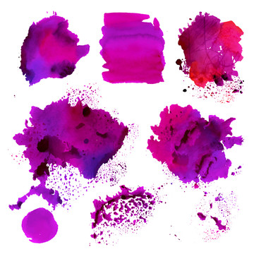 鲜艳紫色水彩插图