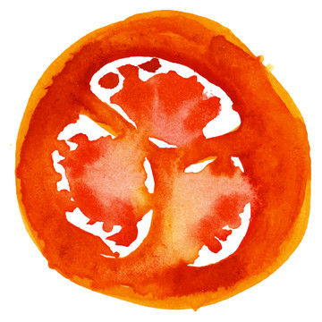 西红柿切片水彩插图