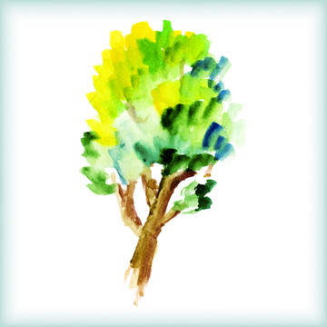 水彩彩绘树插图