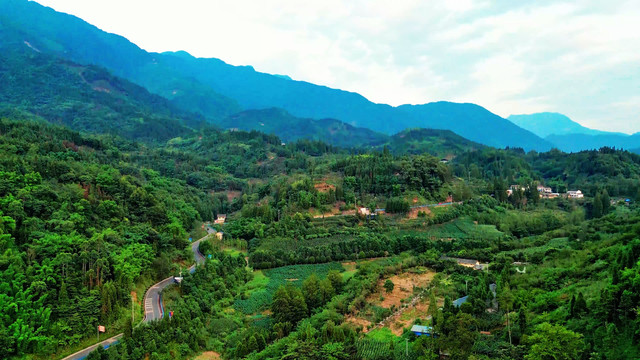 航拍崎岖的山路绿色山地树林