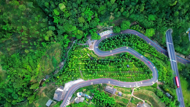 航拍柏香村乡村崎岖公路