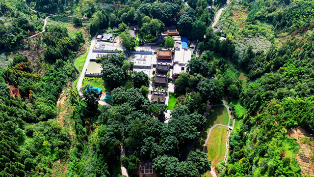 航拍荥经云峰寺桢楠林全景