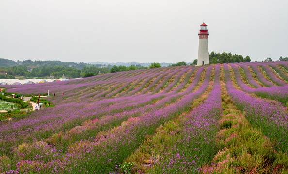 成都双流熏香山谷