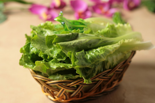 小青菜