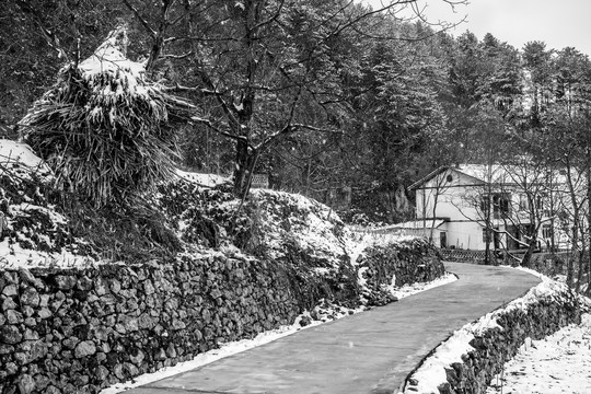 农村积雪覆盖的乡间小路