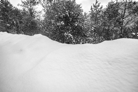 森林里积雪覆盖的林间小路