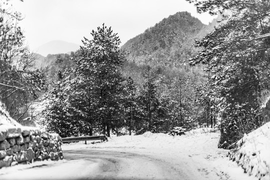 森林里积雪覆盖的林间小路