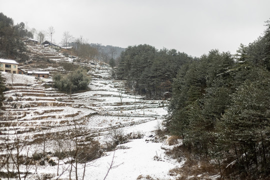 冬季农村田野里覆盖积雪