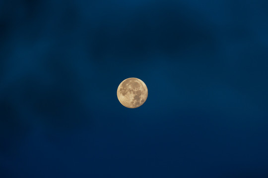 蓝调满月