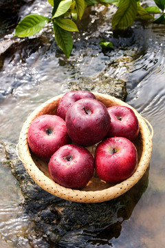河边上放着一篮新鲜花牛苹果