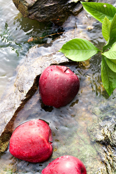 河水里放着花牛苹果