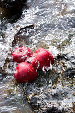 河水里的天水花牛苹果